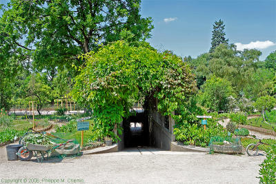 The secret entrance - L'entrée secrère