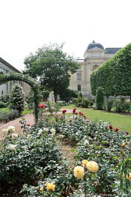Rose garden - La roseraie