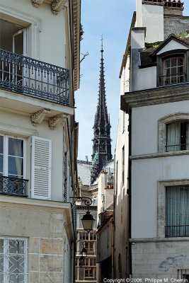 Notre-Dame de Paris depuis le Quai aux Fleurs