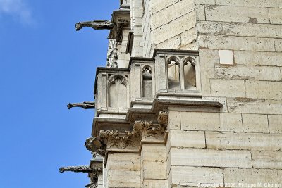 Gargoyles - Gargouilles