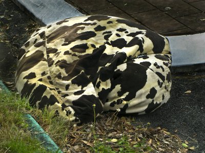 Dead Beanbag!