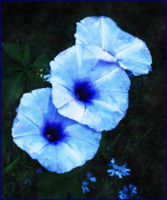 g4/51/609051/3/133939548.sjNJWPEI.jpg