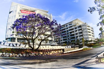 Apartments with jacaranda