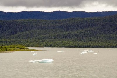 Mendenhall Glacier 04.jpg