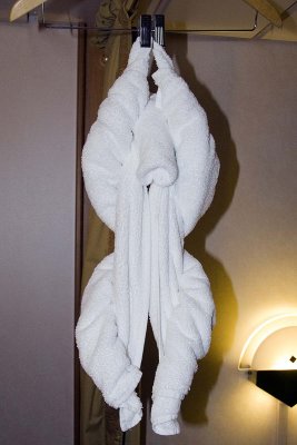 Monkey Towel in room.jpg