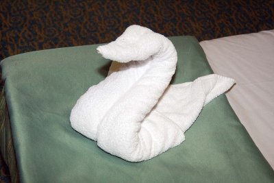 Swan Towel in room.jpg