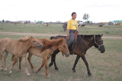 String of horses