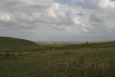 More endless steppe