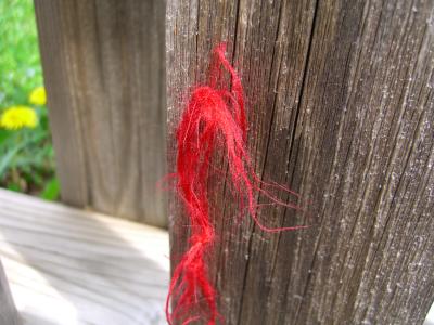 Red Thread on a fence