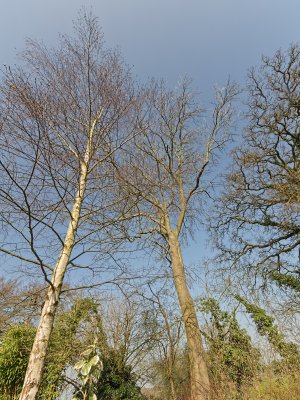g4/51/659951/3/132948509.hPXU7M0Z.jpg