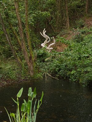 161
