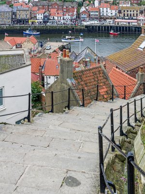 256 (199 steps)
