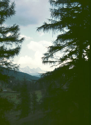 g4/51/659951/3/63150097.dMNz3HK2.jpg