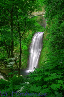 Multnomah Falls