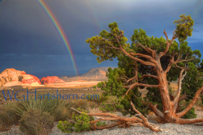 Red Rock Canyon Rainbow