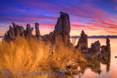 Mono Lake Sunrise