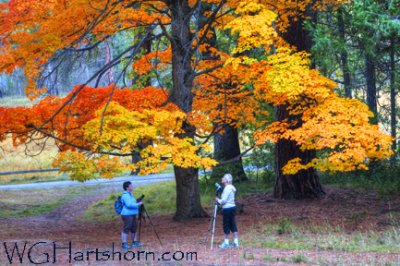 Yosemite Autumn