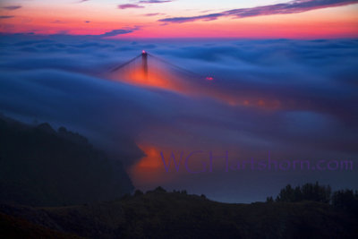 Above the Fog in Marin
