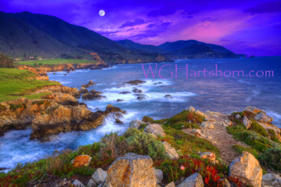 Big Sur Moonlight Cove