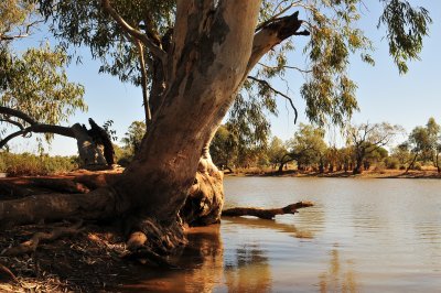 Eringa Waterhole