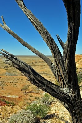 Painted Desert