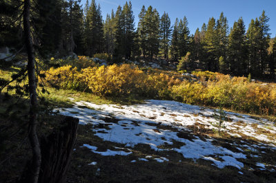 Early fall snow