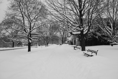 Happy New Year 2008 From Berkshire MA