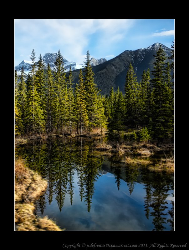 2011 - View from the Rocky Mountaineer Train -  Vancouver to Calgary