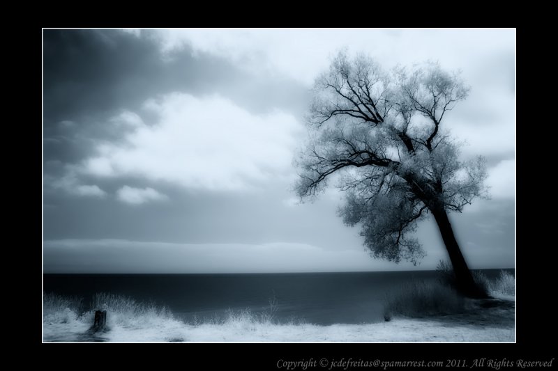2011 - Infrared - Scarborough Bluffs