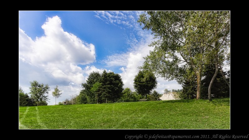 2011 - Scarborough Bluffs