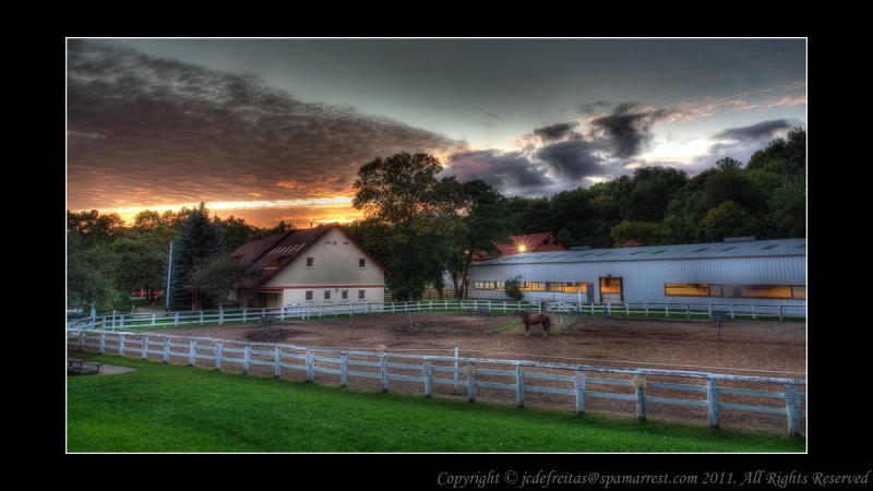 2011 - Sunnybrook Park Stables