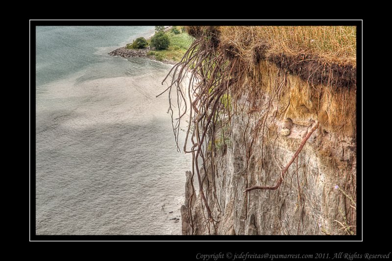2011 - Scarborough Bluffs