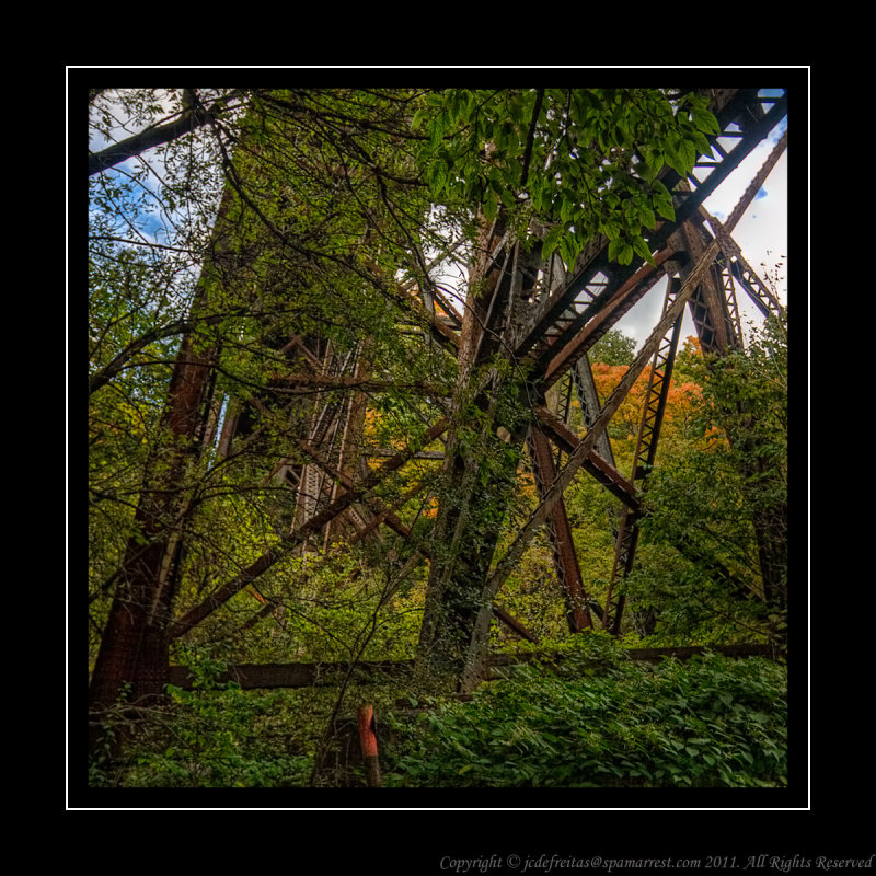 2010 - Seton Park