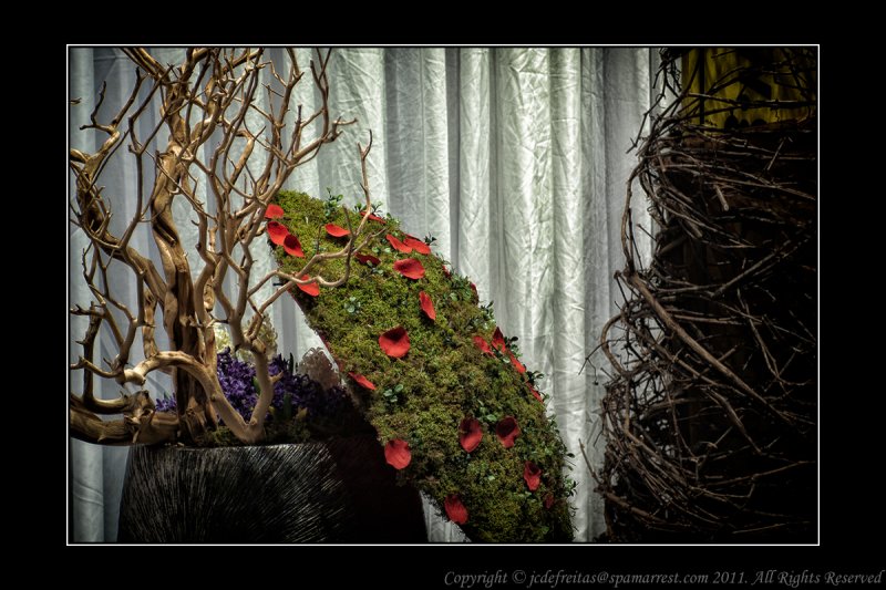 2012 - Canada Blooms, Toronto
