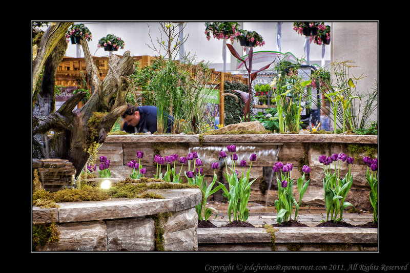 2012 - Canada Blooms - Aqua Terra - Toronto