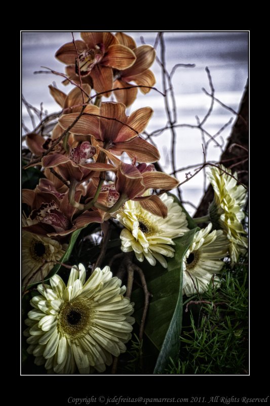 2012 - Canada Blooms, Toronto