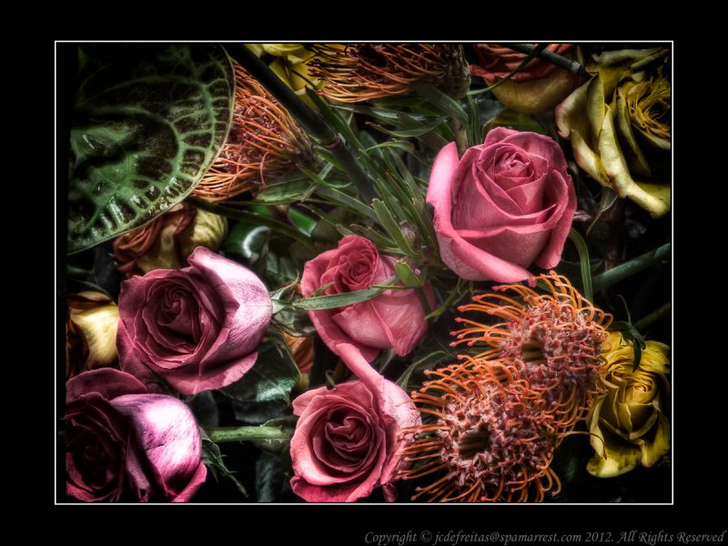 2012 - Canada Blooms, Toronto