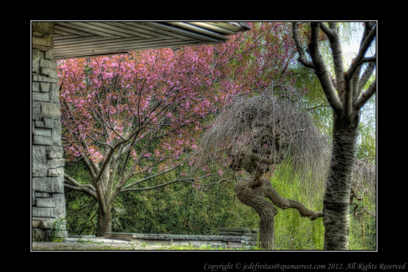 2012 - Toronto Edwards Garden