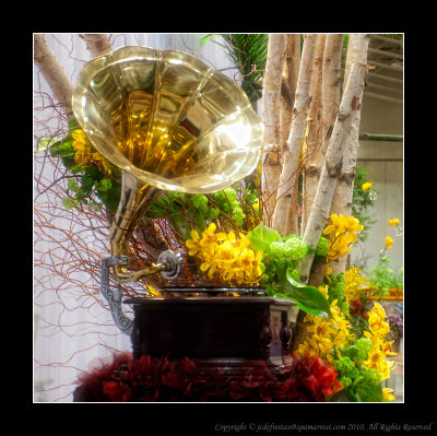 2011 - Canada Blooms - Toronto