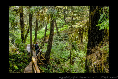 2011 - Vancouver Island - Pacific Rim National Park - Scooner Cove Trail - Ken