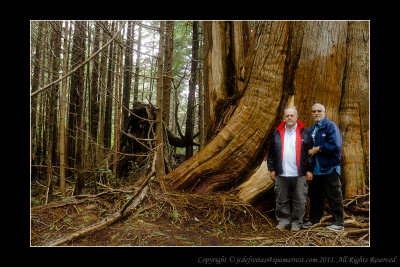 2011 - Vancouver IslandPacific Rim National Park - Scooner Cove Trail - Ken & John -