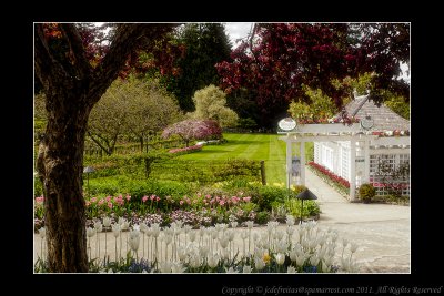 2011 - Vancouver Island - Victoria - Butchart Gardens