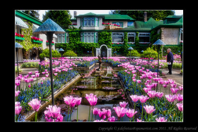 2011 - Vancouver Island - Victoria - Butchart Gardens - Ken