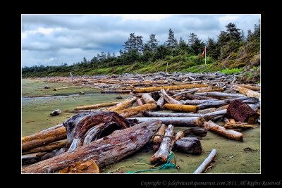 2011 - Vancouver Island - Pacific Rim National Park - Wickaninnish Beach