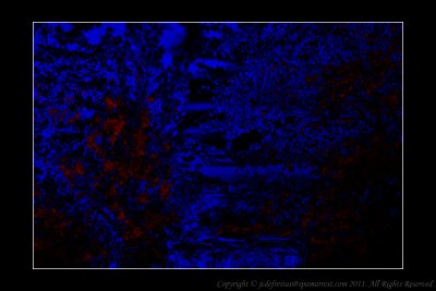 2011 - Scarborough Bluffs - IR (Infrared