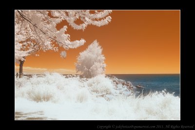 2011 - Scarborough Bluffs - IR (Infrared