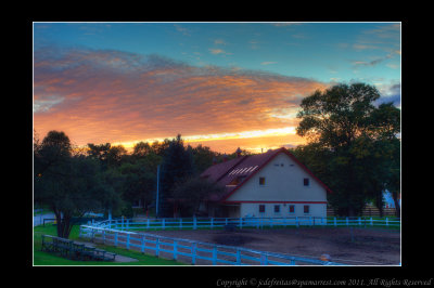 2011 - Sunnybrook Park Stables