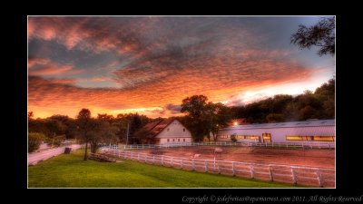 2011 - Sunnybrook Park Stables