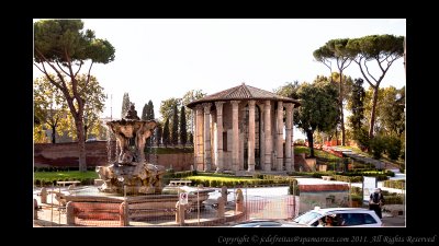 2011 - Tempio di Vesta - Rome, Italy