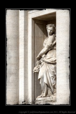 2011 - Fontana di Trevi - Rome, Italy